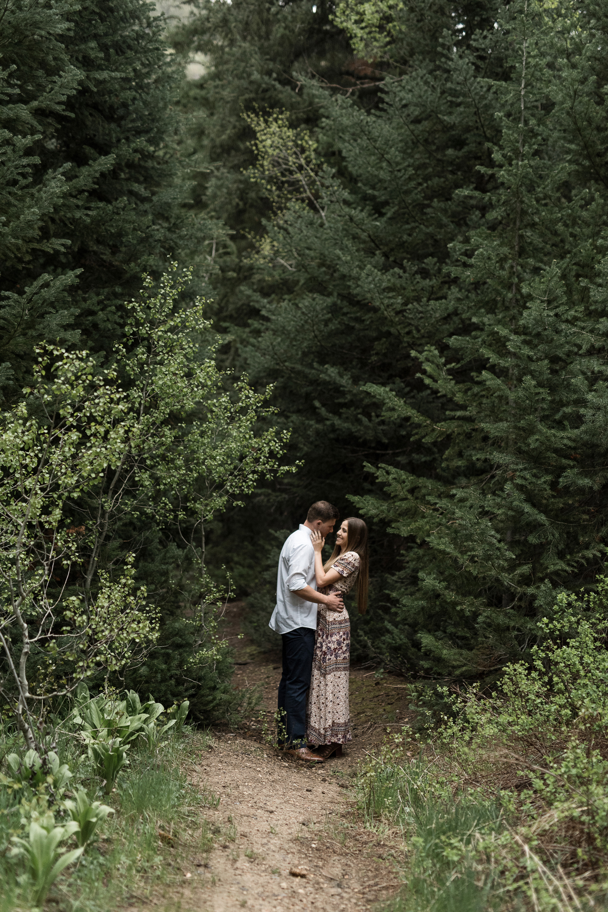 engagements in the woods big cottonwood canyon