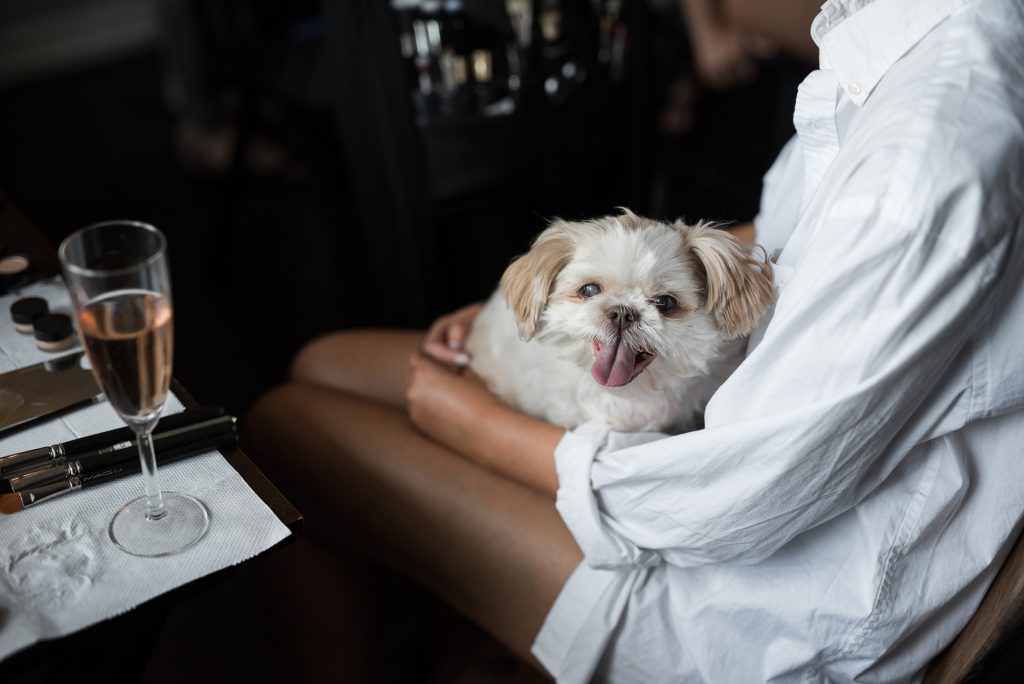 brides happy dog in her lap as she gets ready