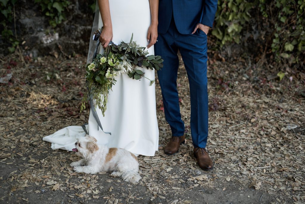 bride and groom with their dog disney at their wedding