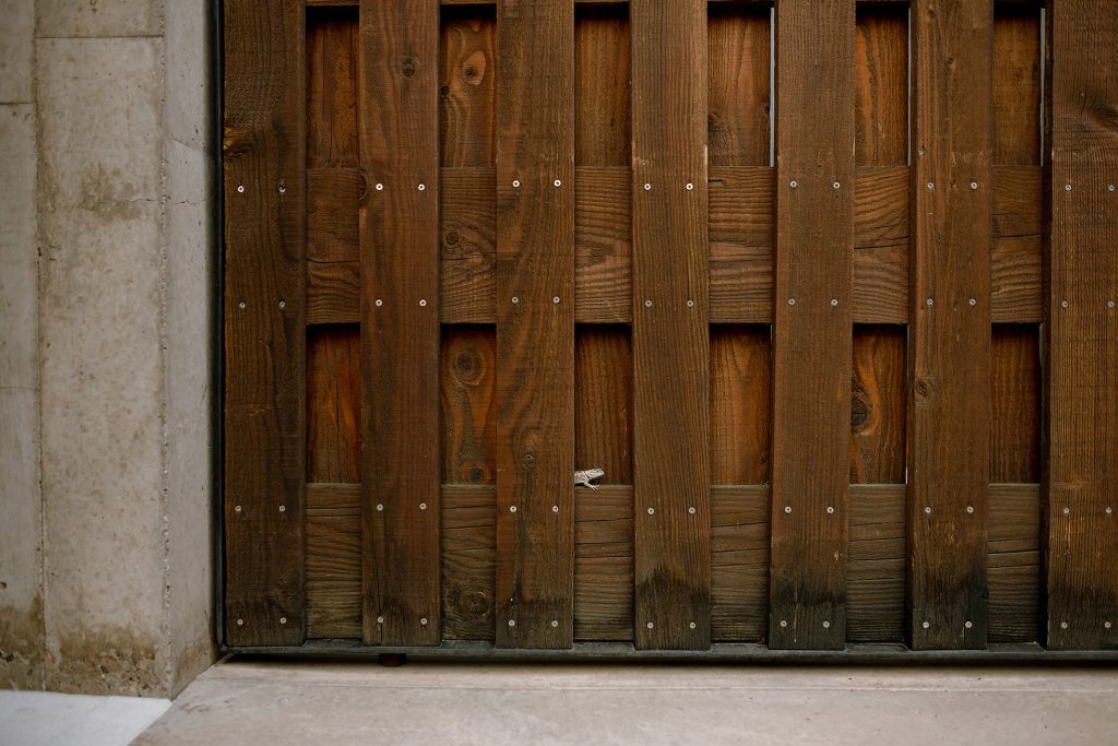 A frog peacking through a wooden door.