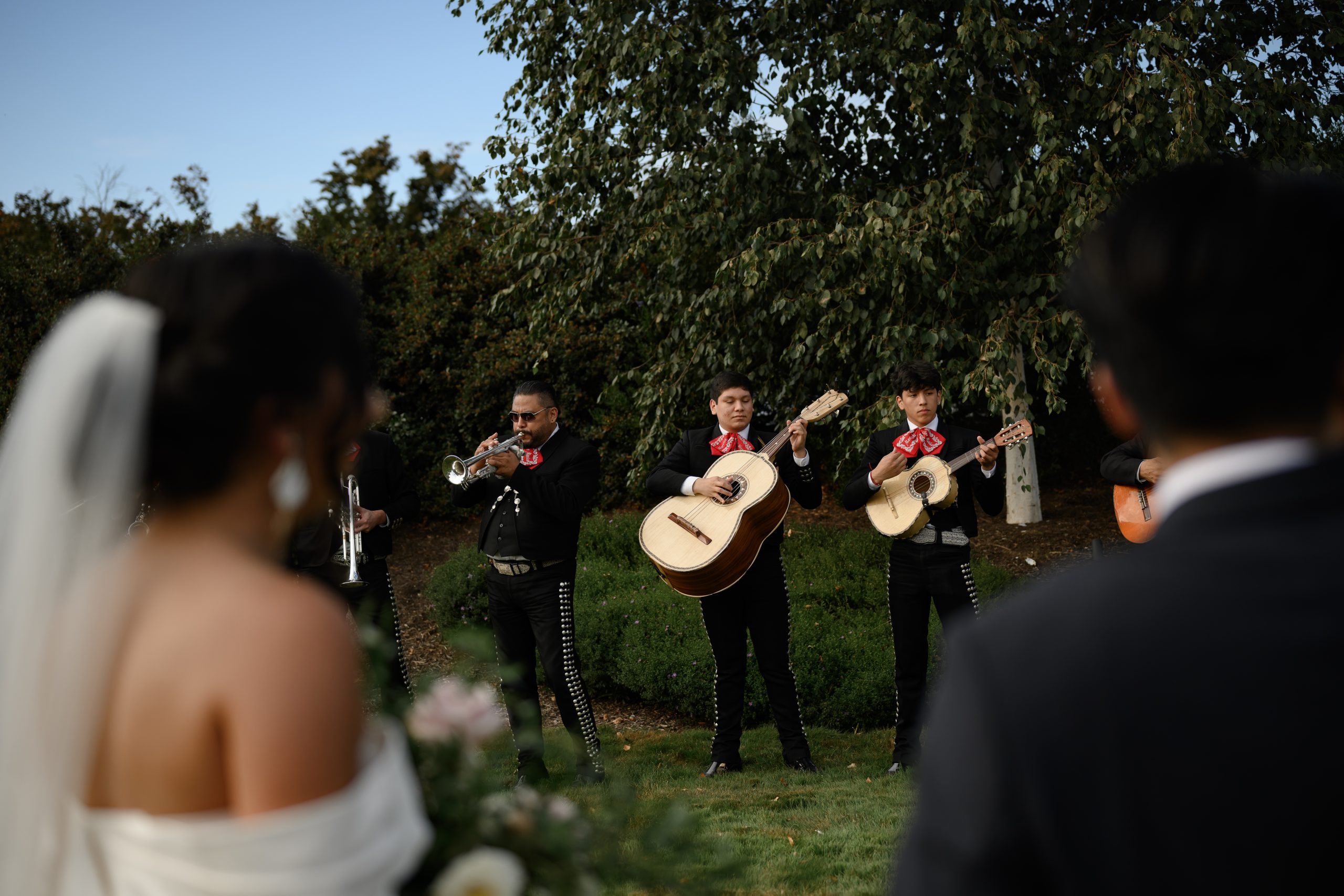 A mariachi band plays music as seen over the shoulder of the bride and groom.