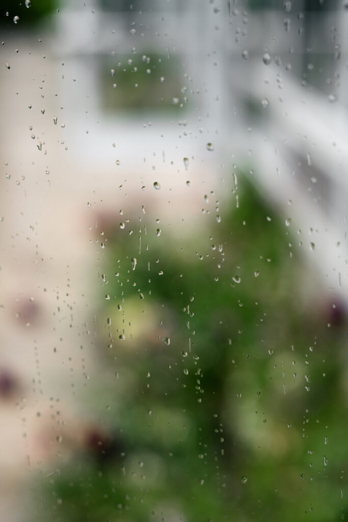 rain drops on a window at red butte gardens