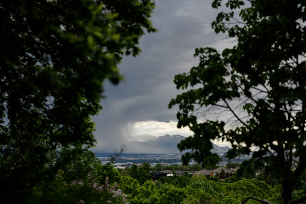 a stormy wedding at red butte gardens