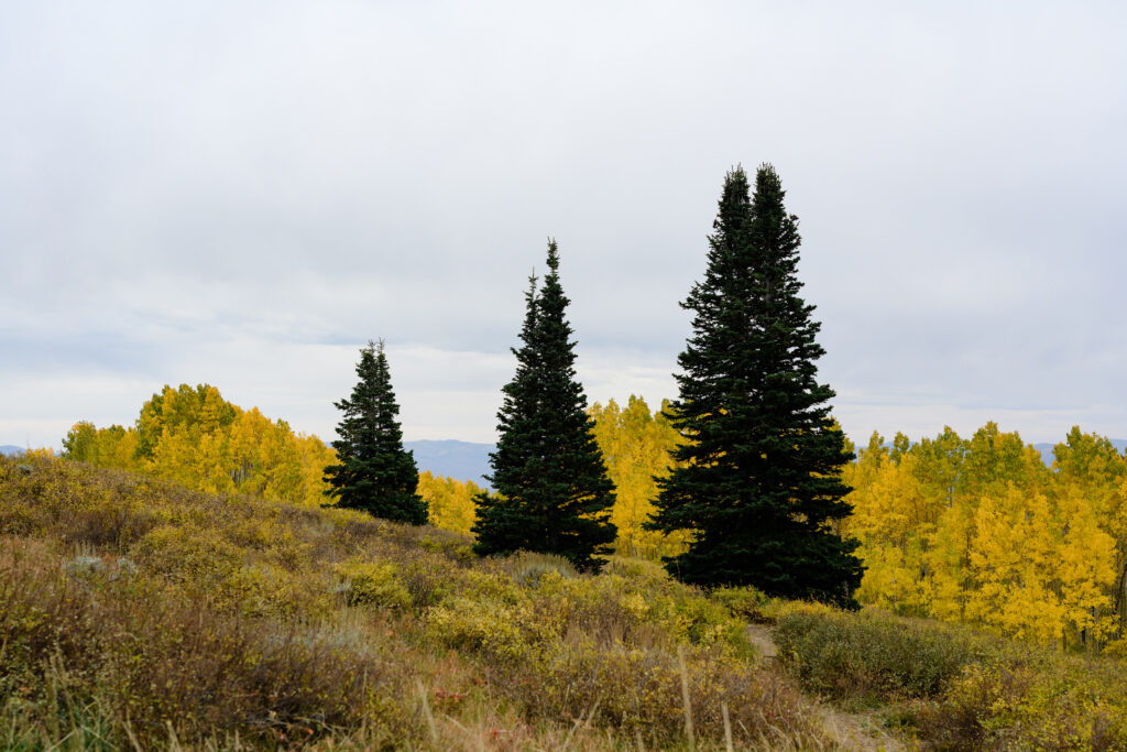 Bonanza Flats Park City Utah