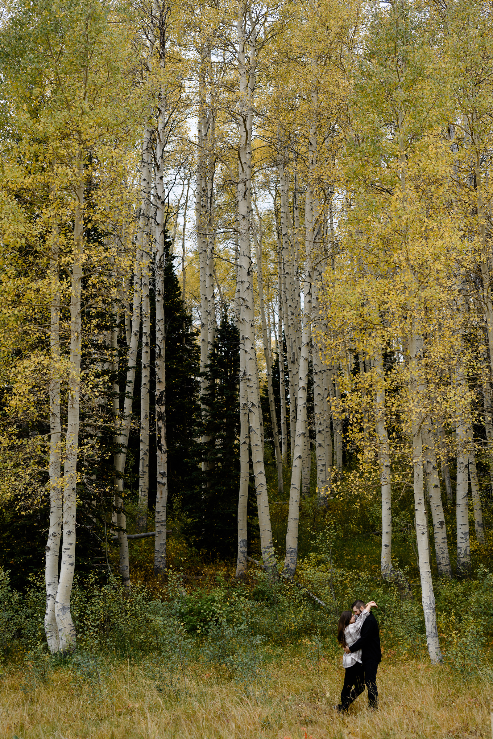A copule together in the Park City aspens